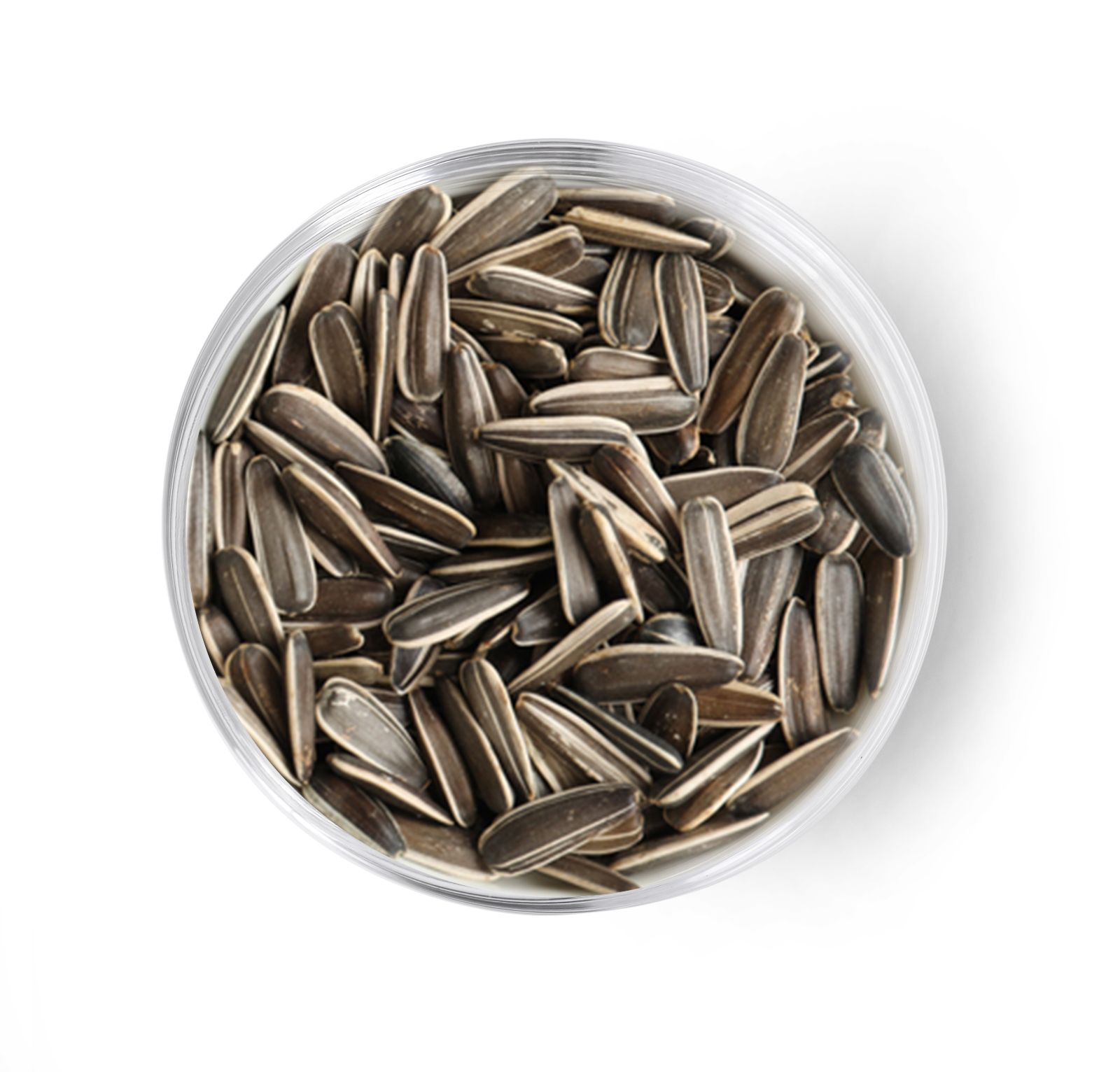 Niger Seed(Ramtil)